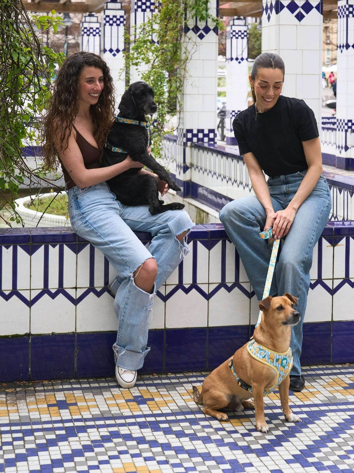 ARNES AJUSTABLE PARA PERRO LEMONS
