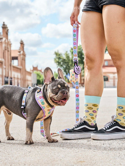 ARNÉS AJUSTABLE PARA PERRO SMILEY