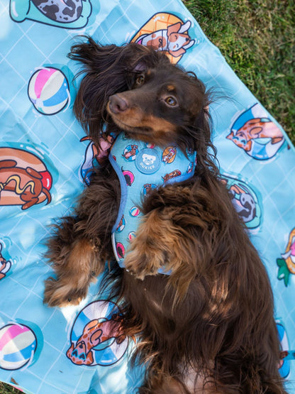 ARNES AJUSTABLE PARA PERRO SUMMER HOT DOGS