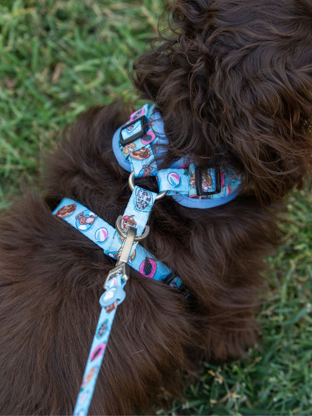 ARNES AJUSTABLE PARA PERRO SUMMER HOT DOGS