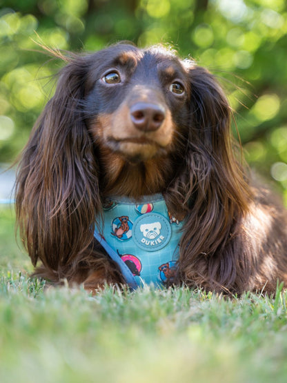 ARNES AJUSTABLE PARA PERRO SUMMER HOT DOGS