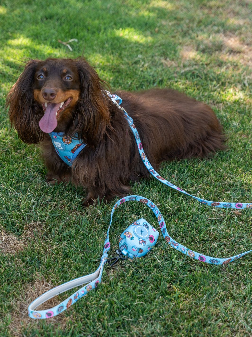 ARNES AJUSTABLE PARA PERRO SUMMER HOT DOGS