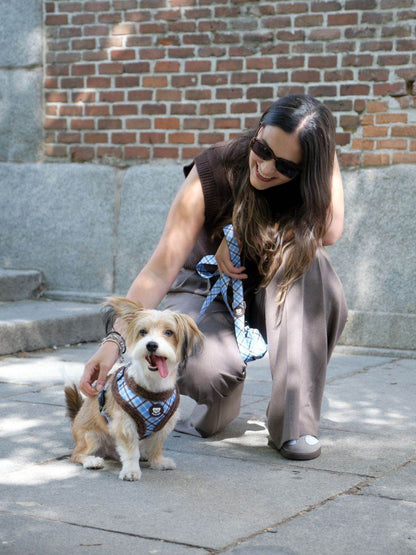 ARNES AJUSTABLE PARA PERRO TARTÁN BLUE MOCCA