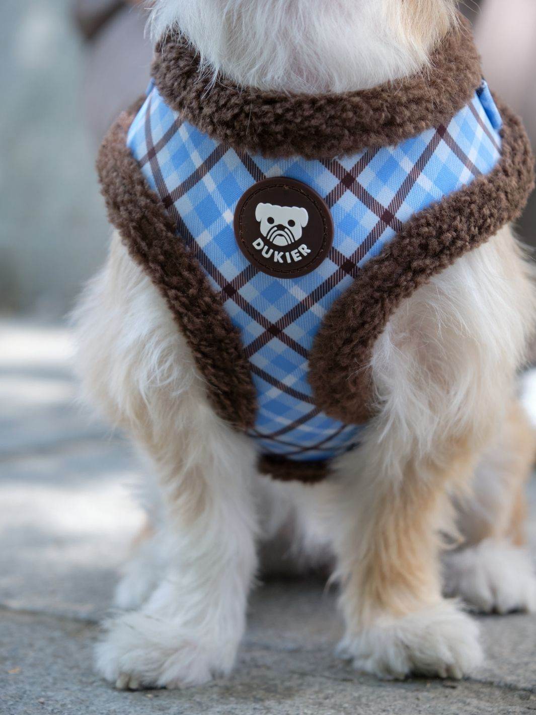 ARNES AJUSTABLE PARA PERRO TARTÁN BLUE MOCCA