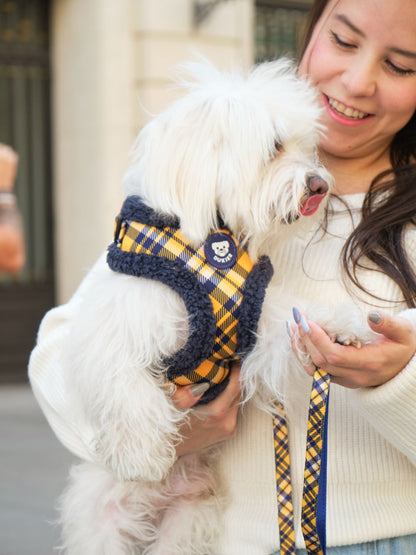 ARNES AJUSTABLE PARA PERRO TARTÁN MUSTARD