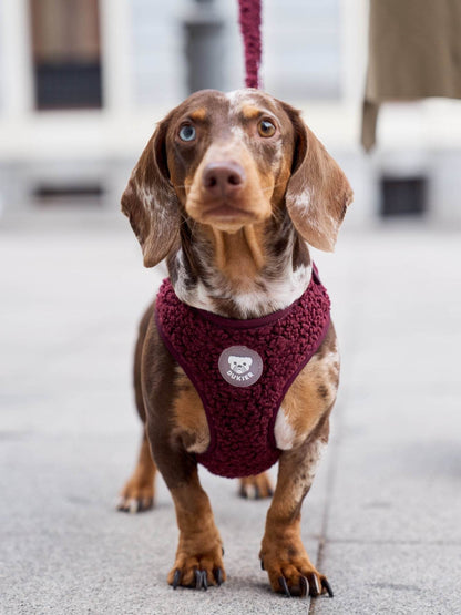 ARNÉS AJUSTABLE PARA PERRO TEDDY CHERRY