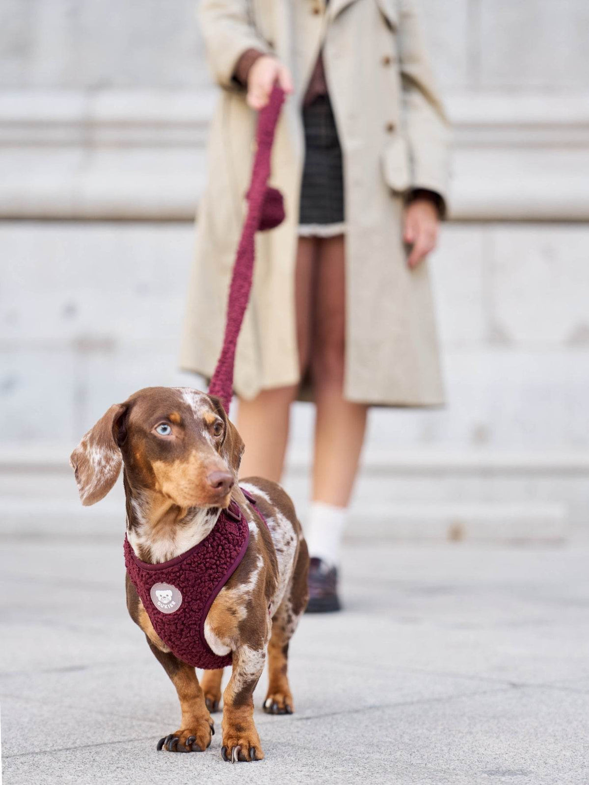 ARNÉS AJUSTABLE PARA PERRO TEDDY CHERRY