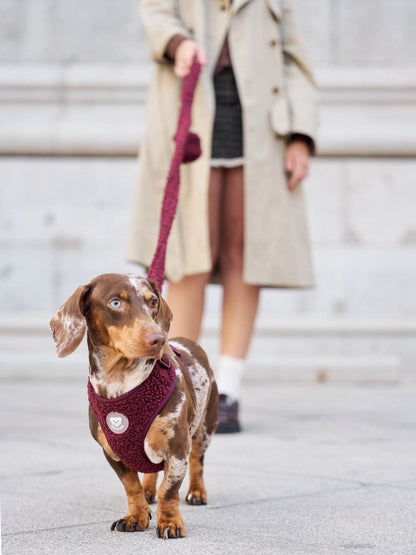 ARNÉS AJUSTABLE PARA PERRO TEDDY CHERRY